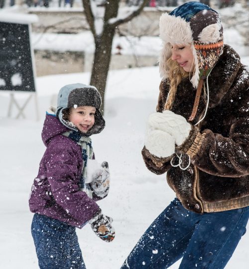 winter, snow, the snow falls-3016300.jpg